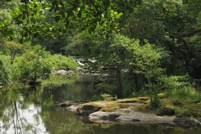 Vallée de la Maine à Aigrefeuille-sur-Maine