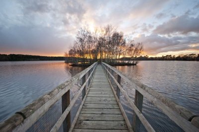 LES LANDES VIVANTES : S'INITIER ET DÉCOUVRIR