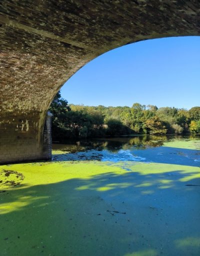Circuit Vignobles & vallée