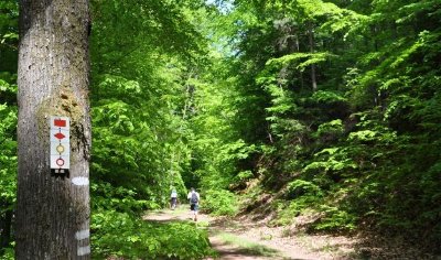 Itinéraire de Griesbach à Schirlenhof