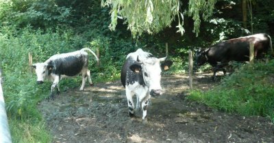 Visite active de la Ferme Humbert