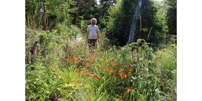 Le Jardin Mil'feuilles