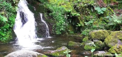La cascade du Bubalafels