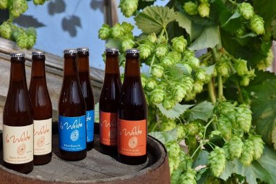 Visite guidée de la Brasserie du Pays Welche