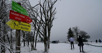 Piste verte - les myrtilles