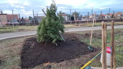 Le jardin philosophique