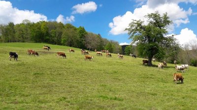 Visite et dégustation à la Ferme Versant du Soleil