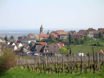 La Vie'stub de la Maison Jean Huttard