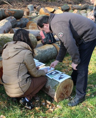 Jeu de piste à l'étang de Donnenbach