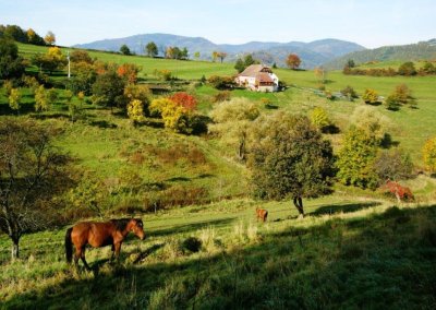 Le Patrimoine agricole et forestier