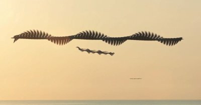 Exposition Bestiaires contemporains