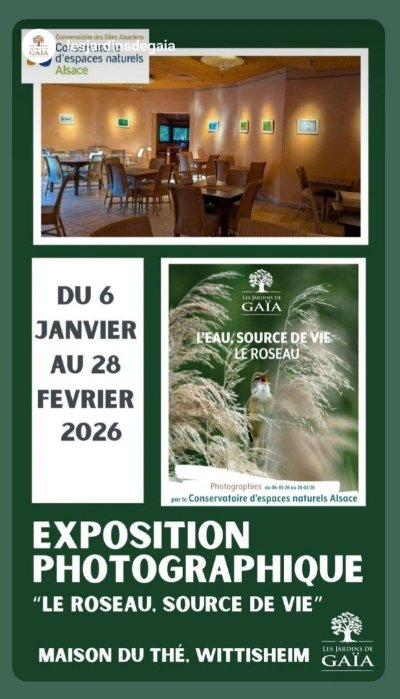 Exposition photo Le roseau, source de vie