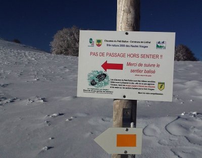 Circuit raquettes à neige : Tour du Petit Ballon