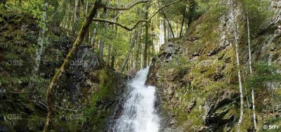 La cascade du Bockloch