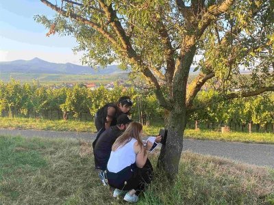 Chasse au trésor des Mondfangers