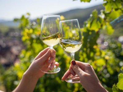 Visite traditionnelle et dégustation - Domaine Specht