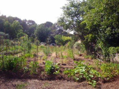 Forêt communale de la Javie