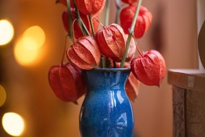 Physalis, Amour d’Artisans