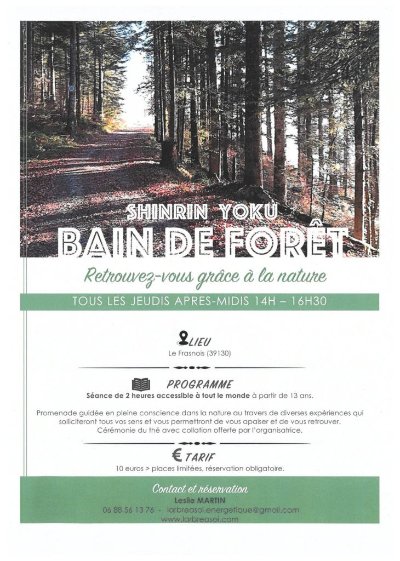 Bain de forêt (Shinrin yoku)