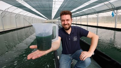 Les Bassins Fermiers