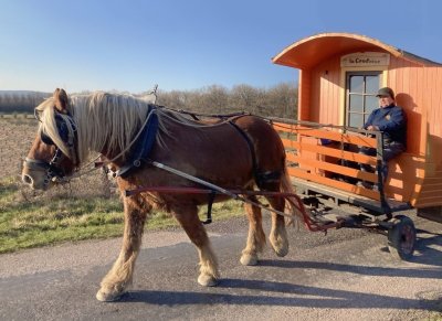 Roulottes de Fontenois-la-Ville / Roulez nature