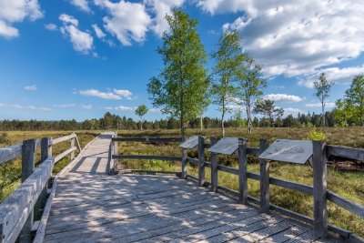 40 ans de la Réserve Naturelle Régionale des Tourbières de Frasne