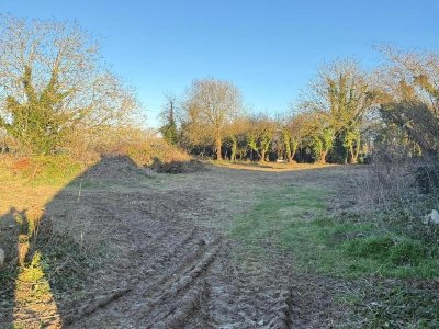 Randonnée nocturne avec Rando Pleine Nature