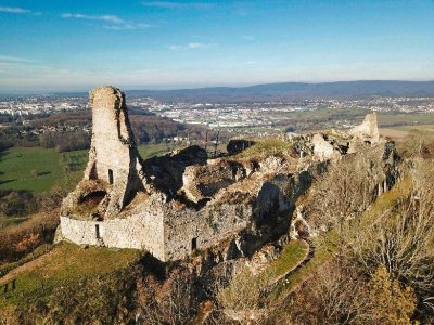 Château médiéval de Montfaucon