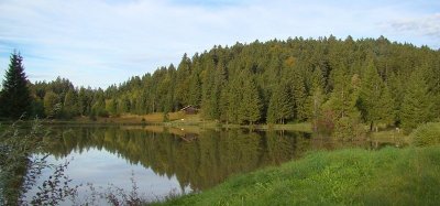 Étangs du Bois du Roy