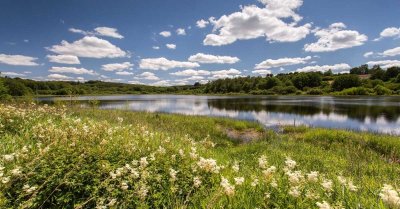 Sentier de découverte de l'étang Taureau