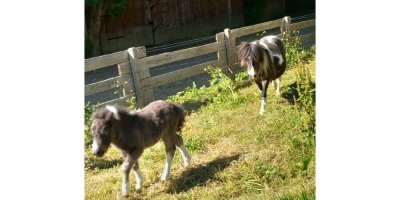 La Ferme des Periann