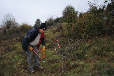 Chantier d'écovolontariat pour les hirondelles de rivage à Osselle