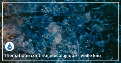 Vallée et reculée du Dessoubre (attente confirmation niveau)