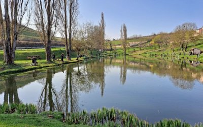 Plan d'eau aménagé