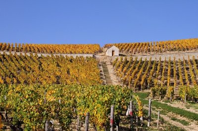 Les Coteaux de Collan