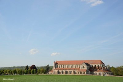 L'Abbaye de Pontigny, aux origines du Chablis
