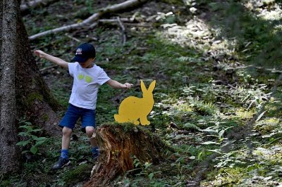 Parcours animalier "Cache-cache des animaux"