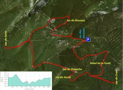 Le sentier des Pitchouns à la forêt de Perrache