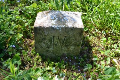 L'ancien Chêne Président