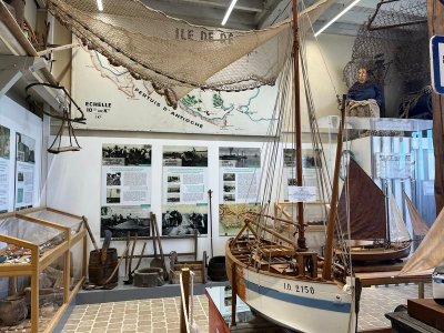 Exposition régionale d'Élevage de Dogue Allemand