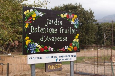 Jardin botanique fruitier d'Avapessa