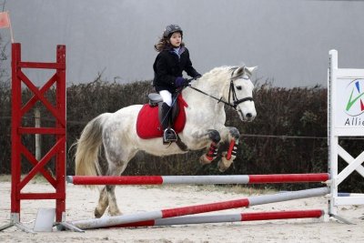Concours de sauts d’obstacles