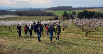 Terre de fruit vous raconte ses vergers