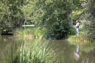Espace naturel du Bois de la Pimpine