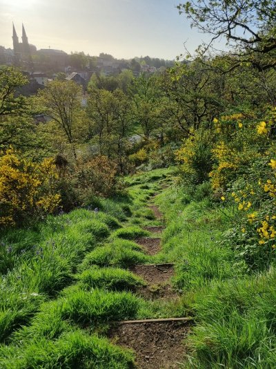 Espace Naturel Sensible Le Mont Gaillard et la vallée de l’Ouin
