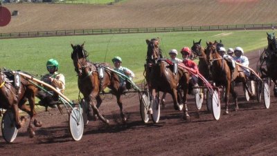 Courses hippiques - Castillonnès