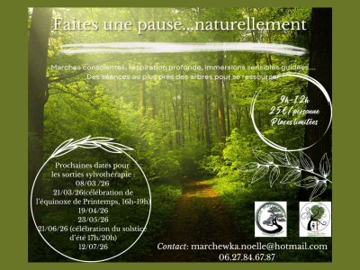 Sortie sylvothérapie : les bienfaits des arbres sur notre santé