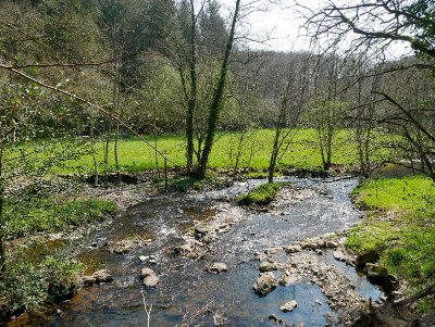 Faites la chasse aux déchets !