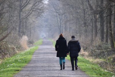 Forêt Domaniale de Marchiennes