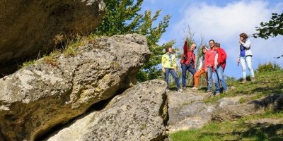 Sortie nature à Laon : "Les arbres et leurs bourgeons"